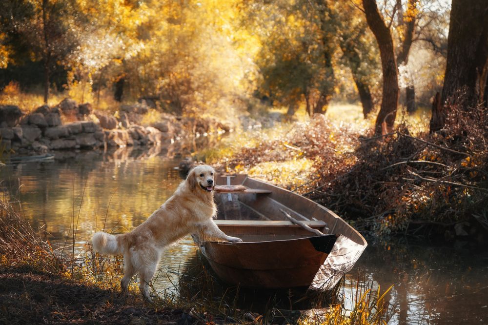 Photograph by Андрианова Ирина