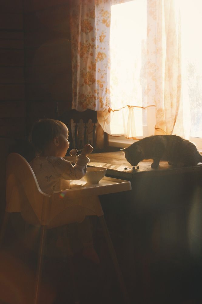 Photograph by Татьяна Алкарева-Горшкова