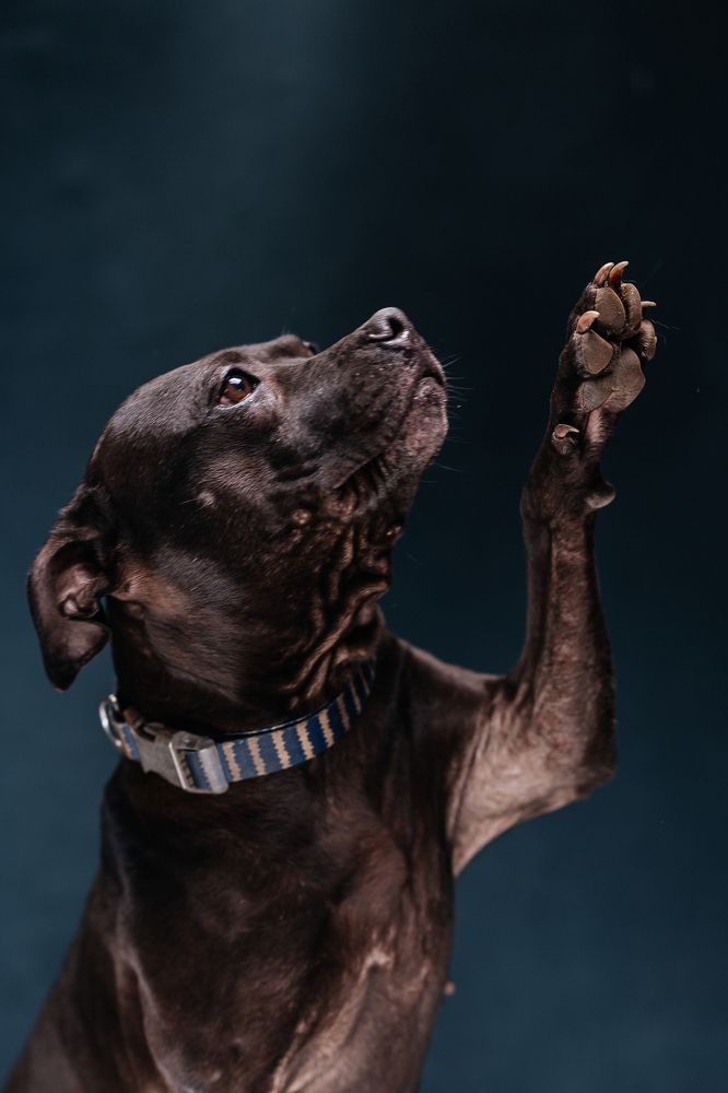 Photograph by Светлана Федяева