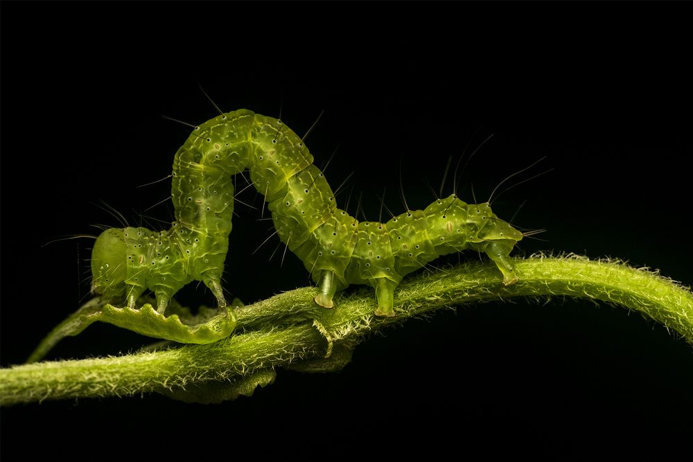 Photograph by ARUNAVA DEY