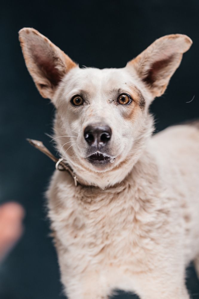 Photograph by Светлана Федяева