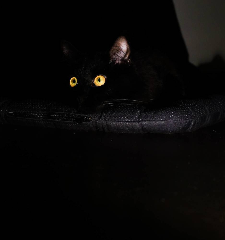 Photograph by Дарья Дрыночкина