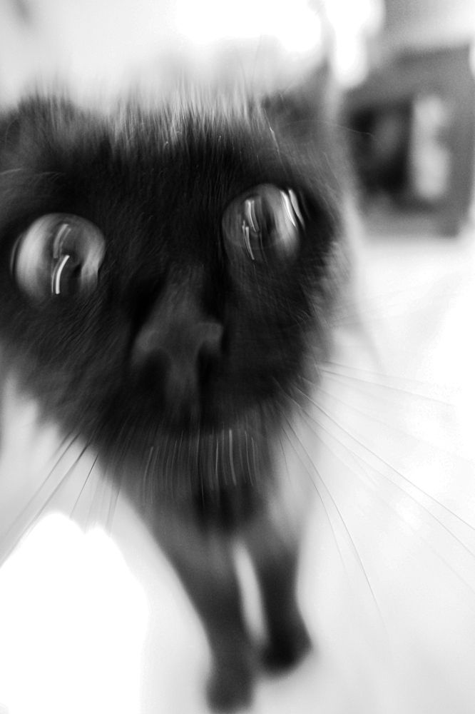 Photograph by Дарья Дрыночкина