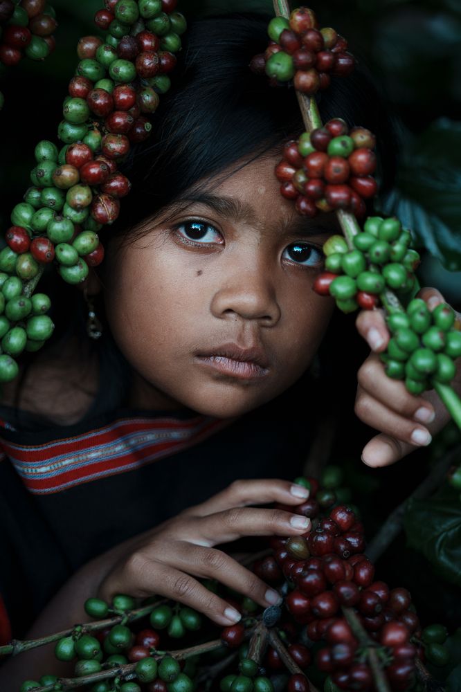 Photograph by Bao Nguyen