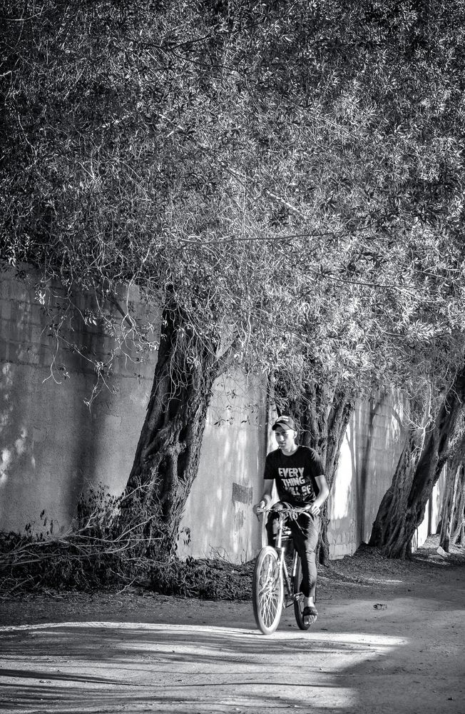 Фотография автора elias al sairafi