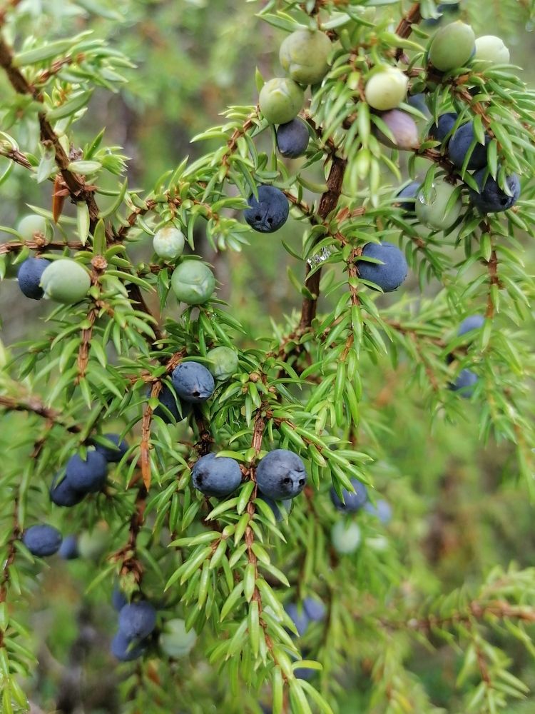 Photograph by Татьяна Бешенкина