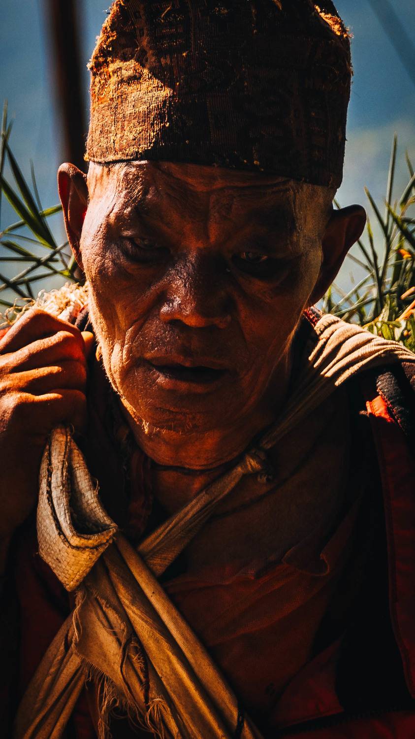 Photo #11330409