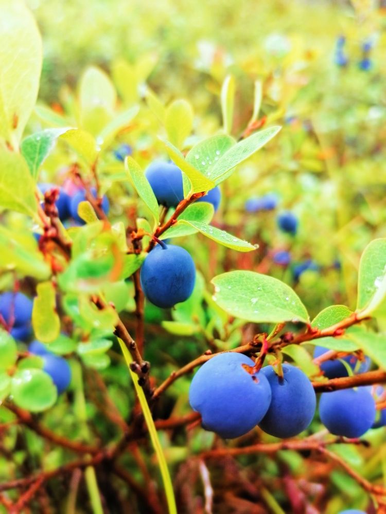 Photograph by Татьяна Бешенкина