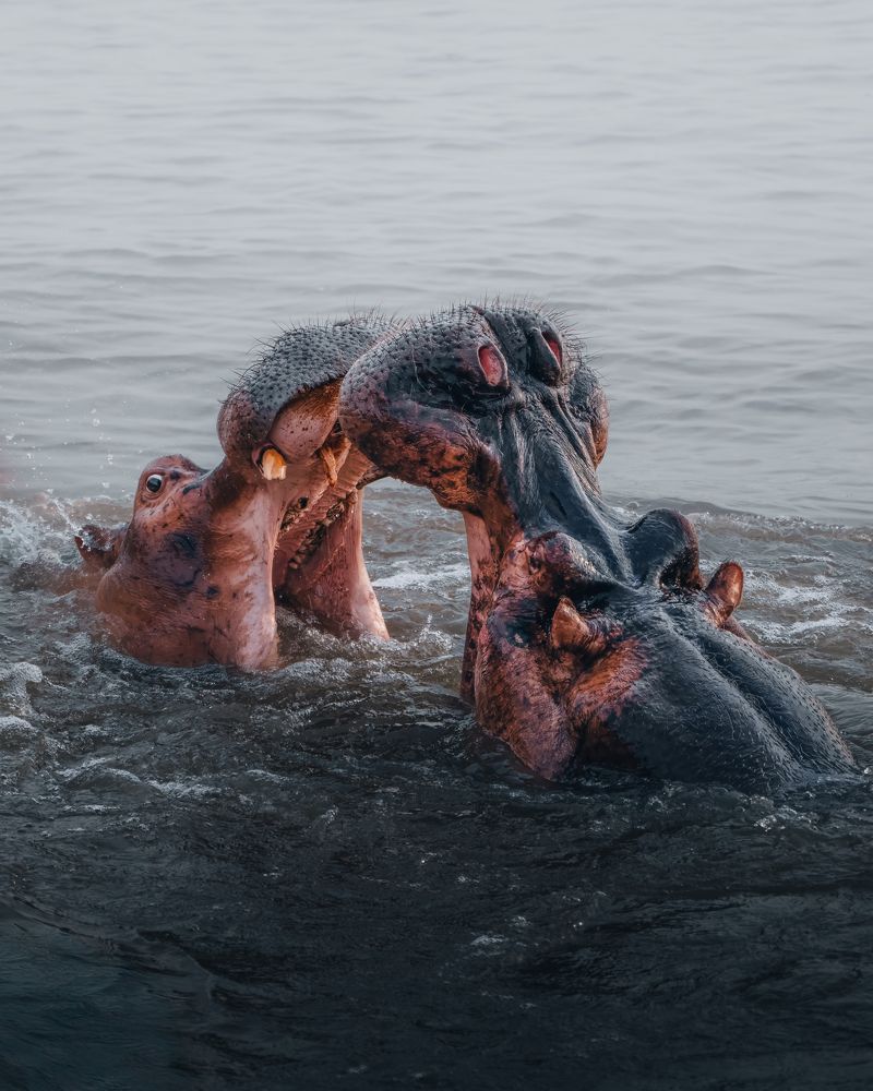 Photograph by Chris Stavrakas