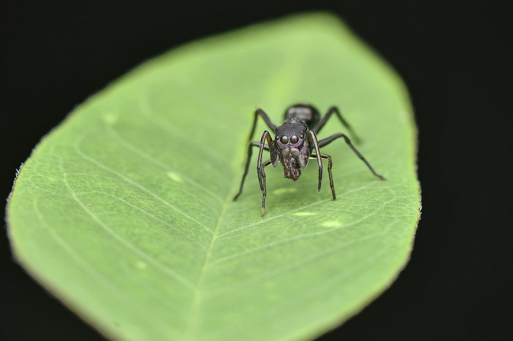 Photograph by ARUNAVA DEY