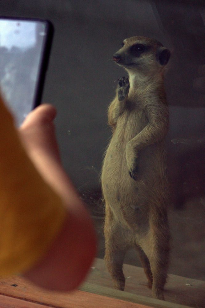 Photograph by Светлана Кравченко