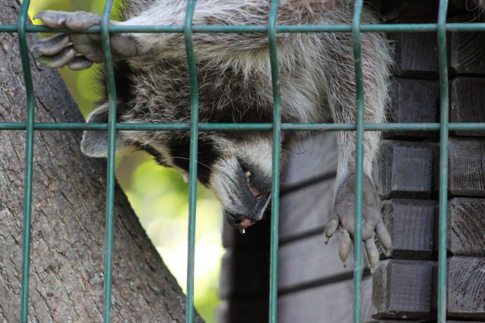 Photograph by Светлана Кравченко