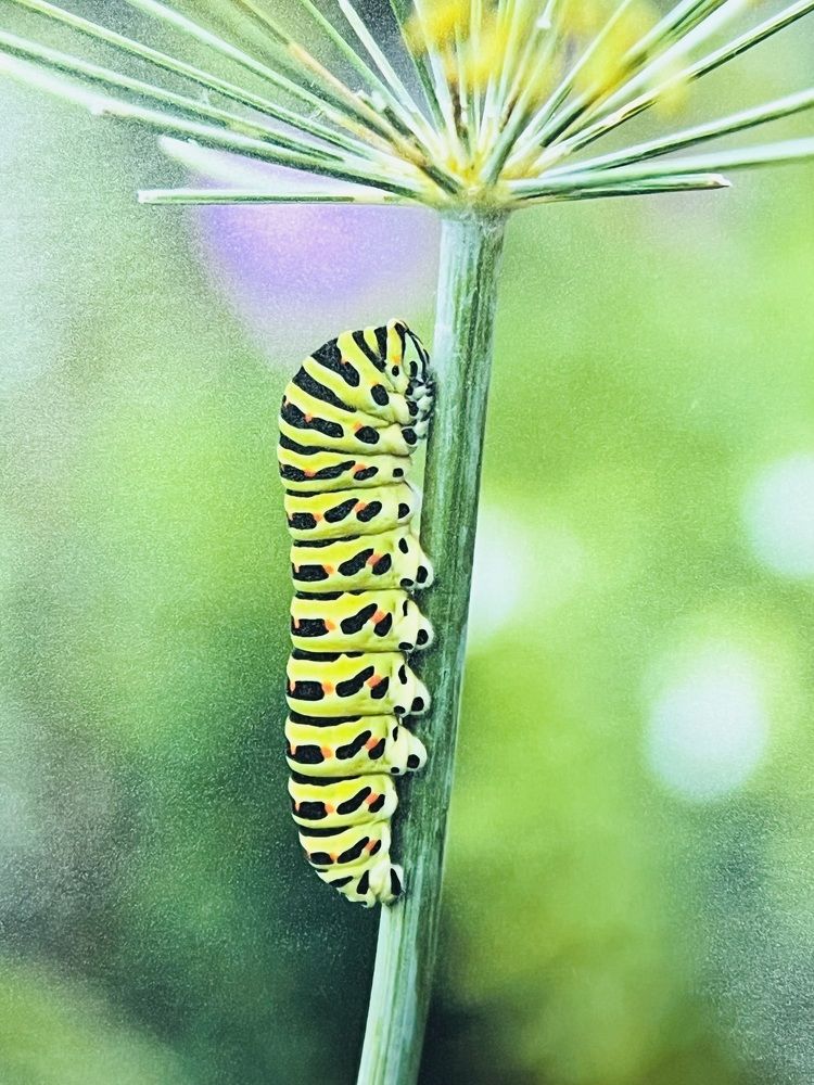 Photograph by Евгения Лазарева