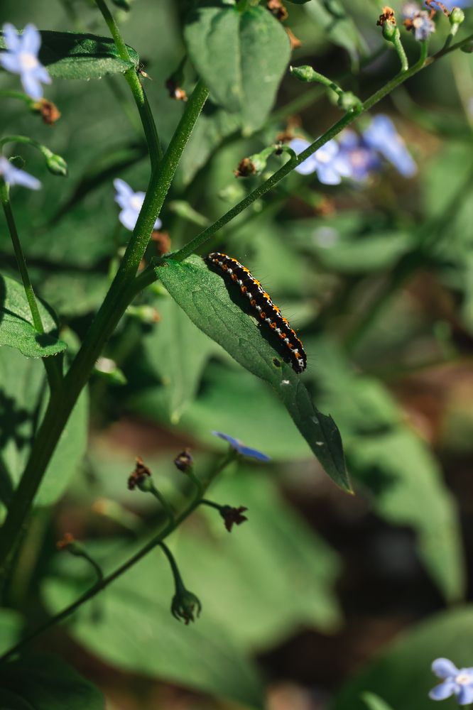 Photograph by Елена Неведицына