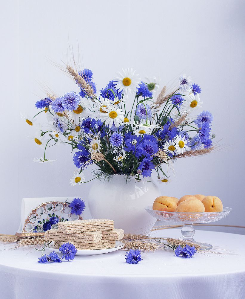 Photograph by Татьяна Долженкова