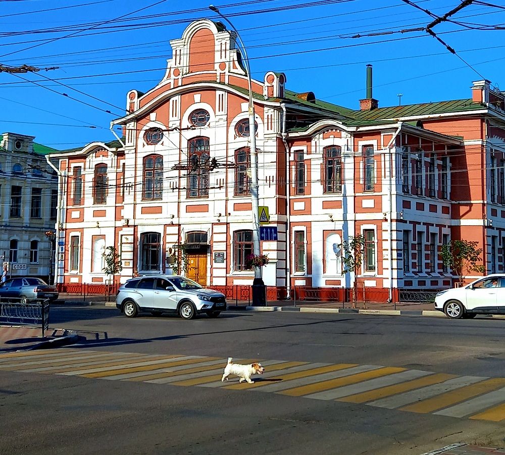 Переход дороги