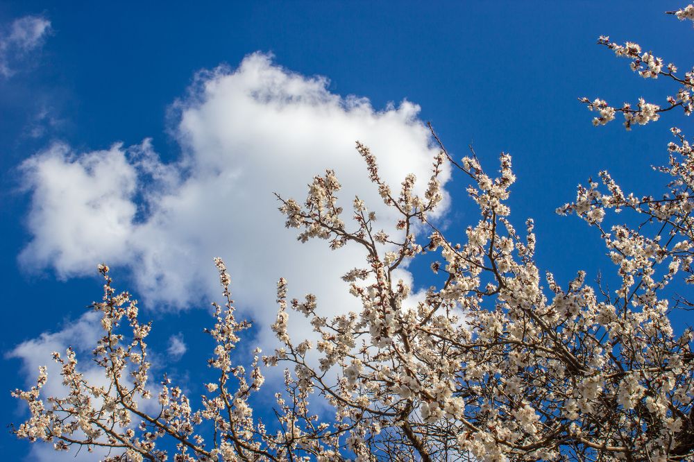 Photograph by Дина Горбачёва