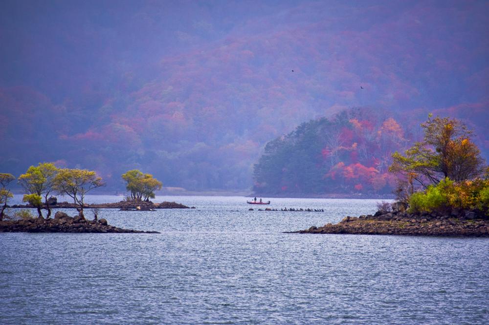 Фотография автора Sen Abhijit