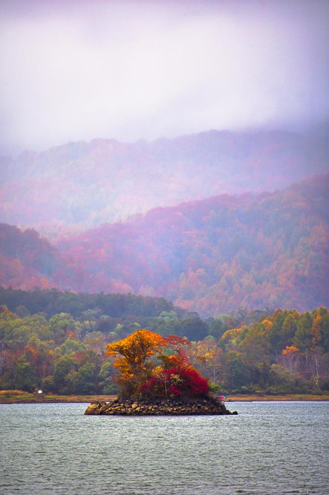 Фотография автора Sen Abhijit