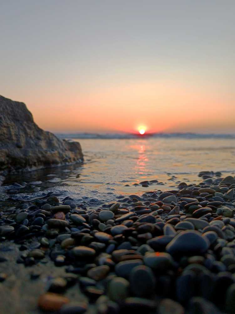 Photograph by Dilara C