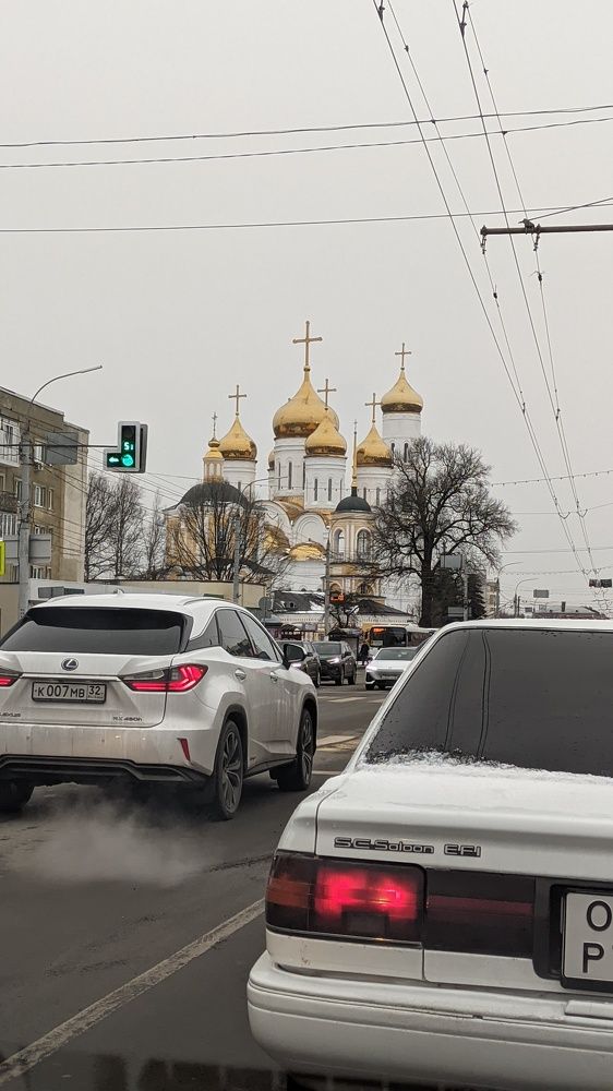 Фотография автора Васильева Ирина