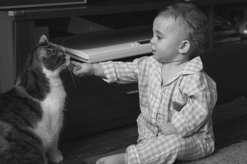 Фотография автора Мария Соколова