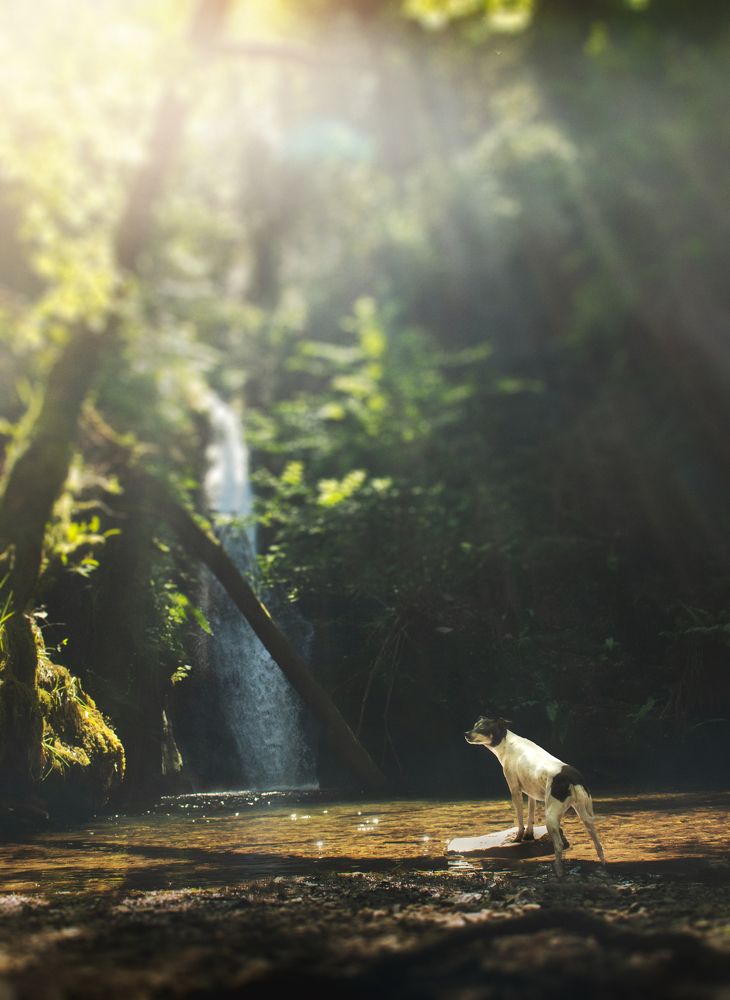 Photograph by Rosa Maria