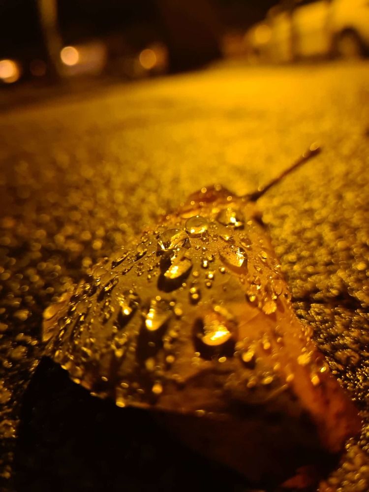 Photograph by Gloria Casillas