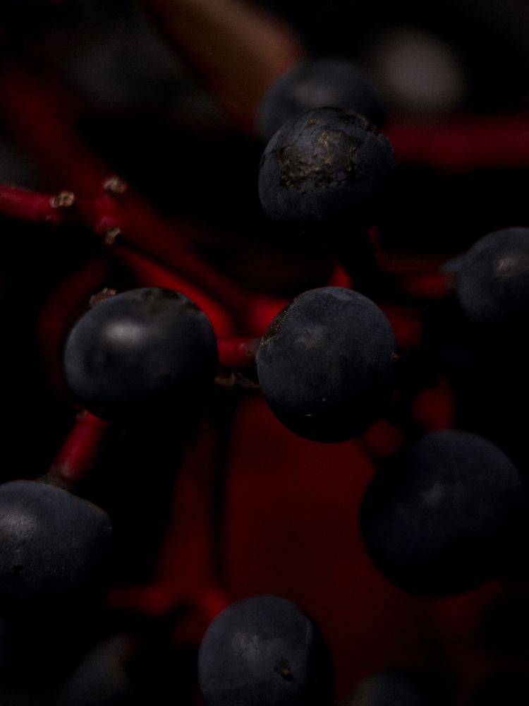 Фотография автора Катерина Иванова