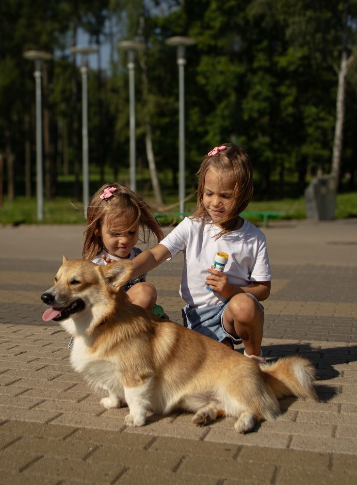Photograph by Надежда