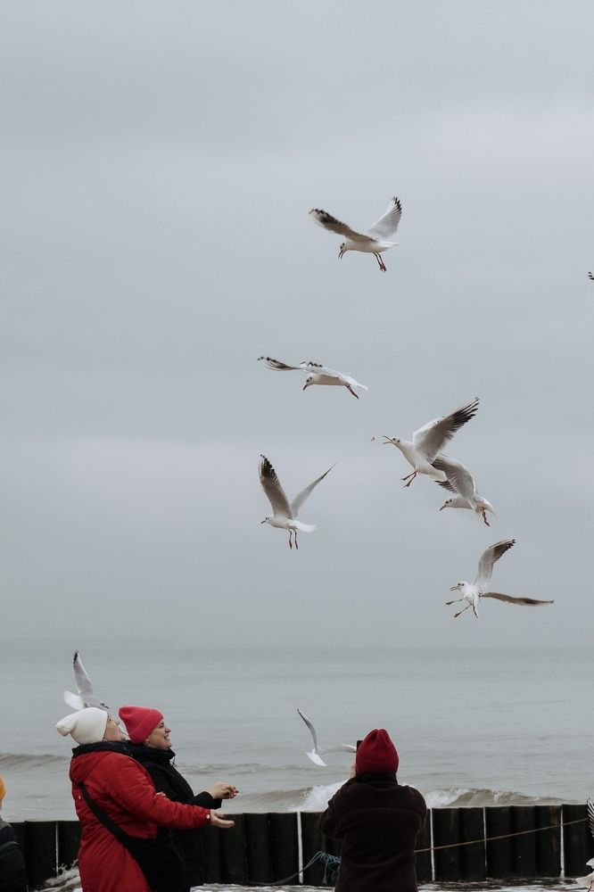 Photograph by Светлана