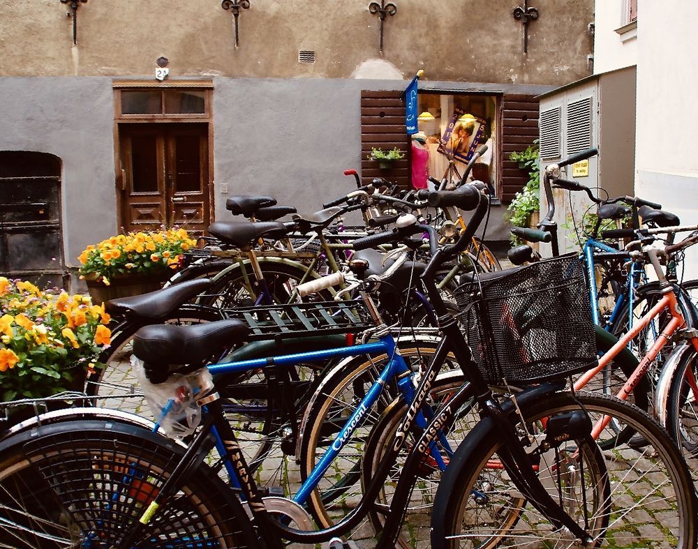 Photograph by Наталья Шумилова