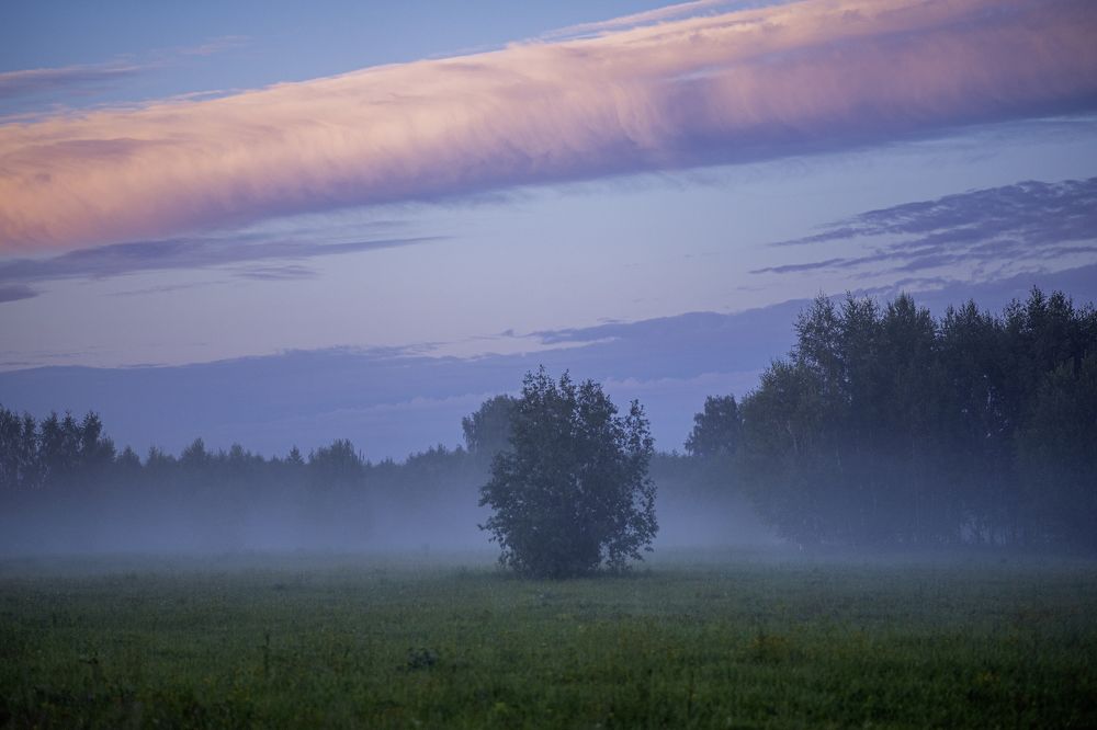 Photograph by Валентина Тарасова