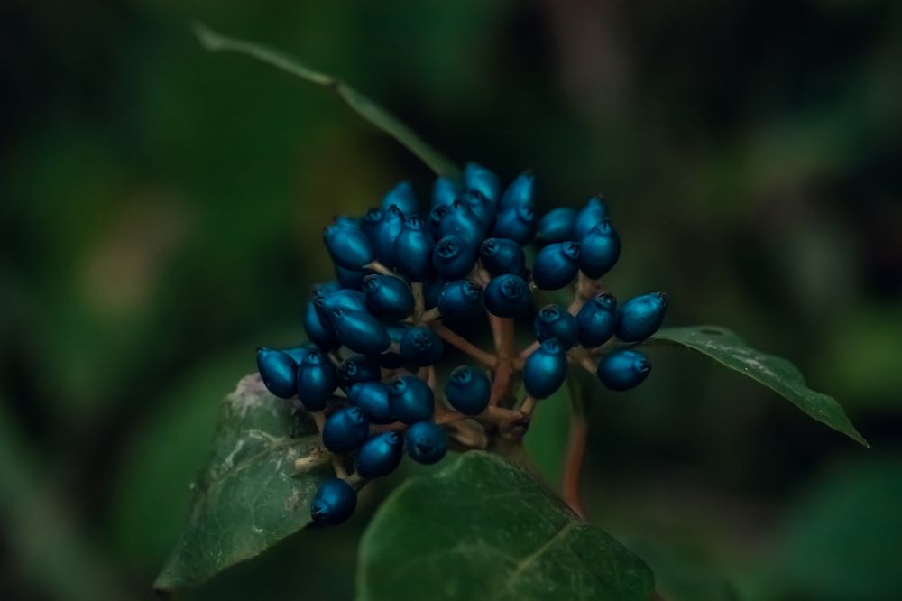 Photograph by Мария Путинцева