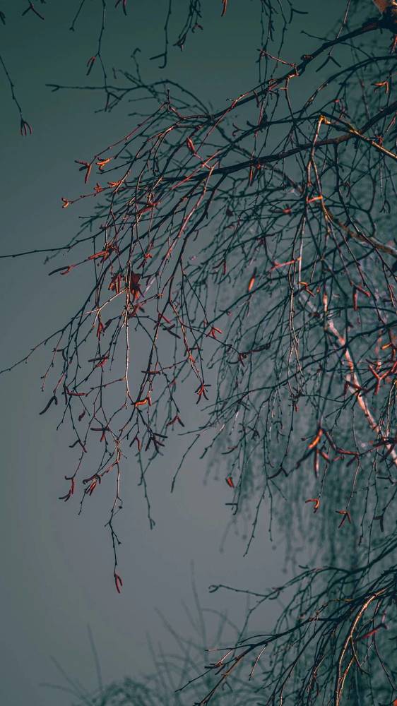 Photograph by Анна Ганькова