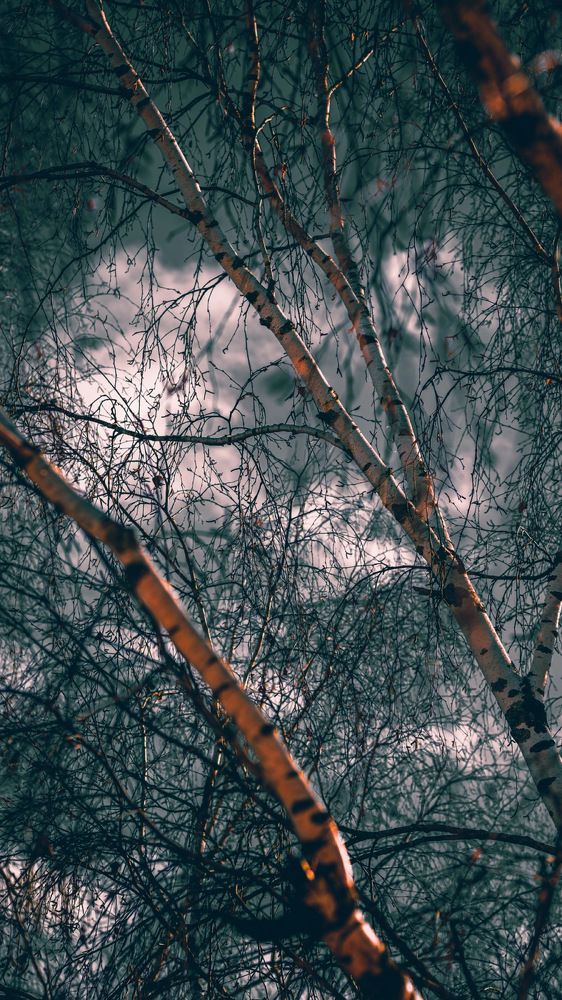 Photograph by Анна Ганькова