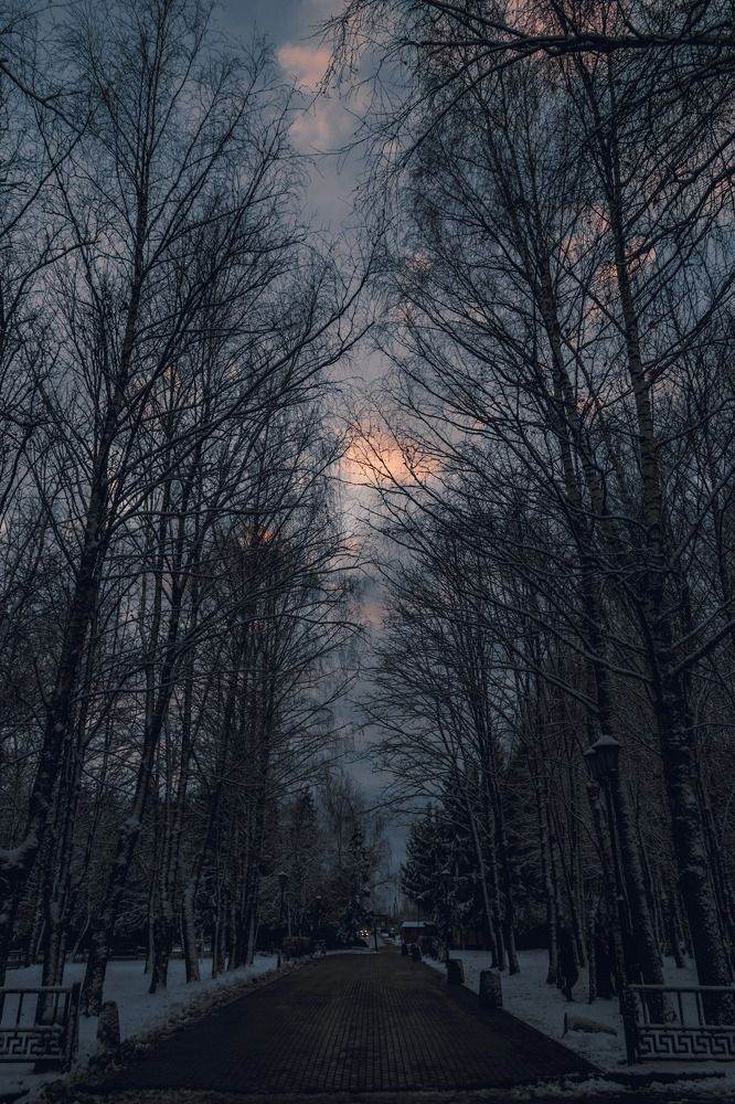 Photograph by Анна Ганькова