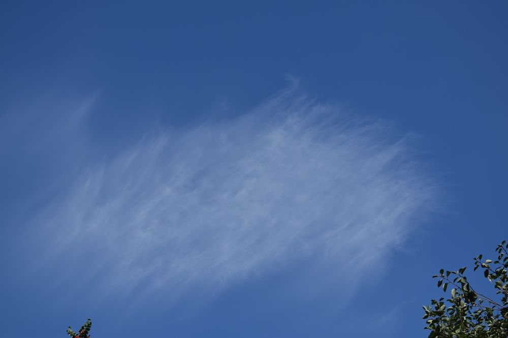 Photograph by Наталья Еременко