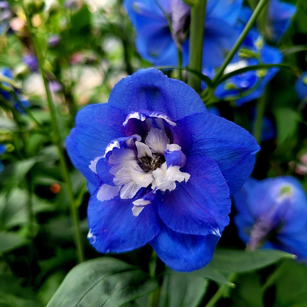 Photograph by Catherine Walter-Prêtre