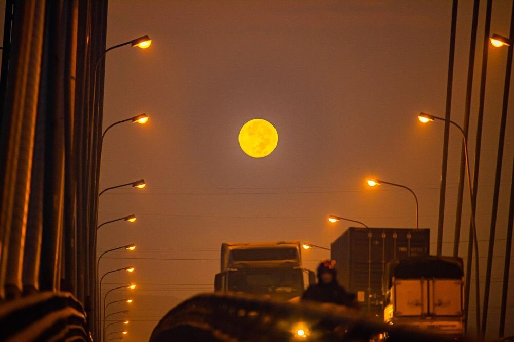 Photograph by Nguyễn Đức Huấn