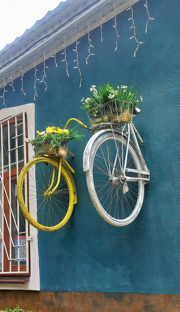 Photograph by Ирина Никульча