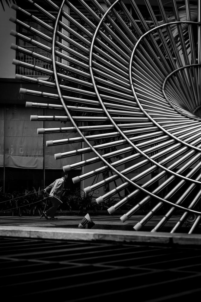 Photograph by Thành Đạt Trần