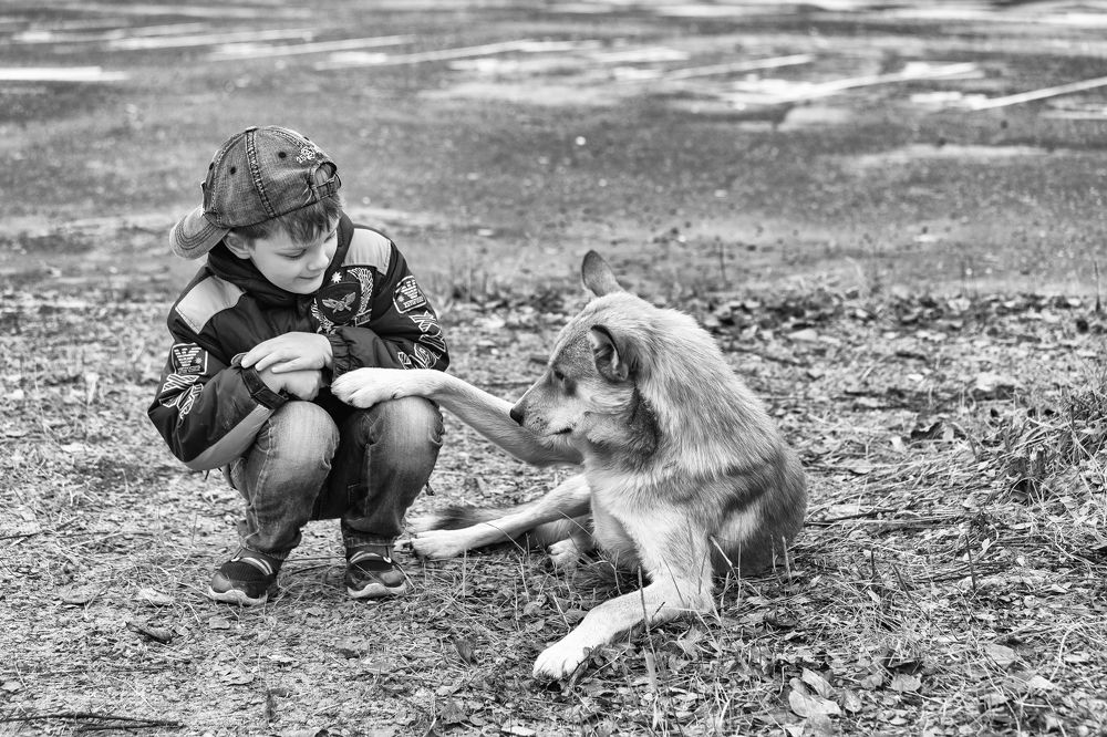 Photograph by Роман Дудкин