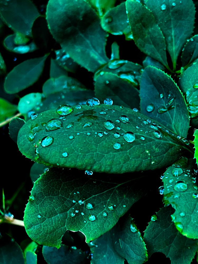 Фотография автора Елизавета Стороженко