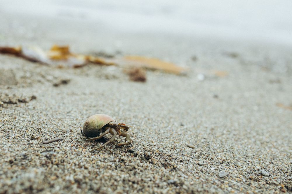 Photograph by Гузель Миникаева