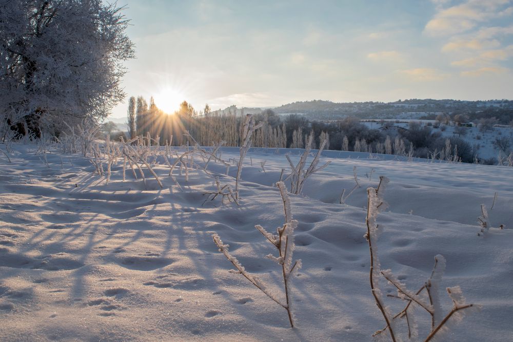 Фотография автора Van Gross