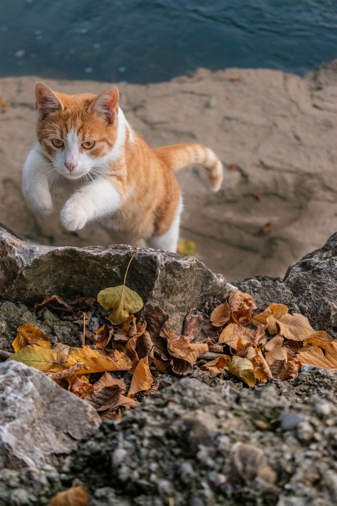 Photograph by Милан Ђорђевић