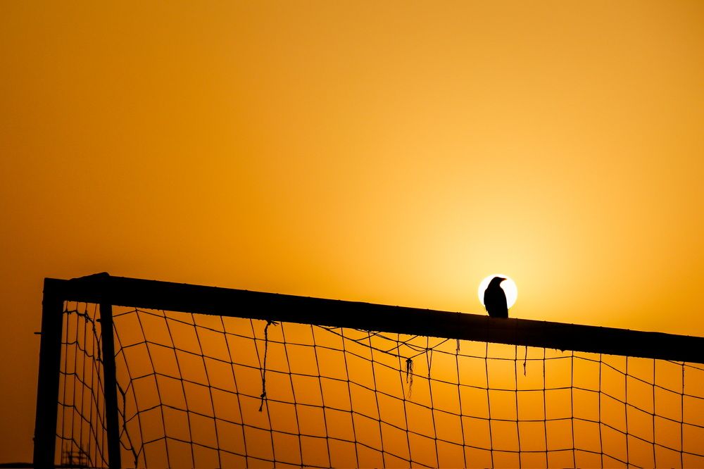 Photograph by Lyudmila Klimanova