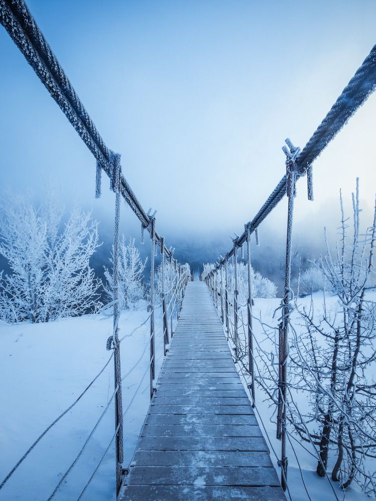 Фотография автора Игорь Васильев