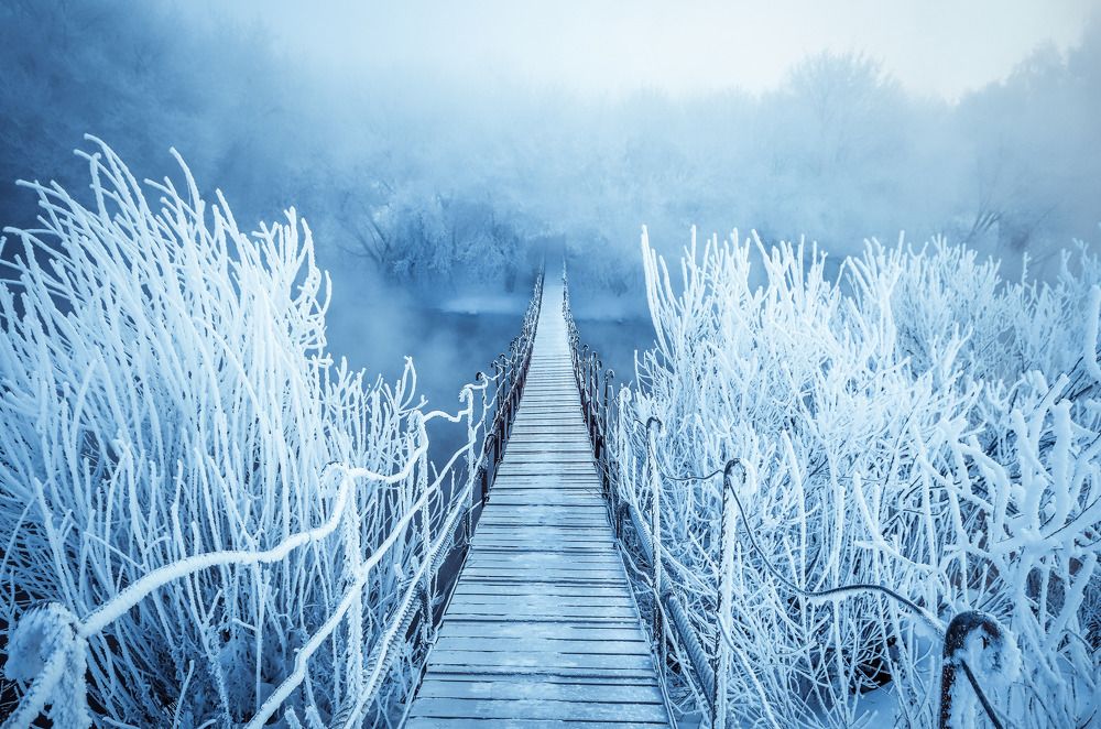 Photograph by Васильев Игорь